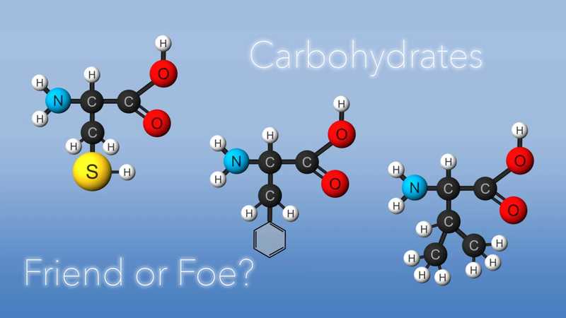 Carbohydrates, Friend or Foe?