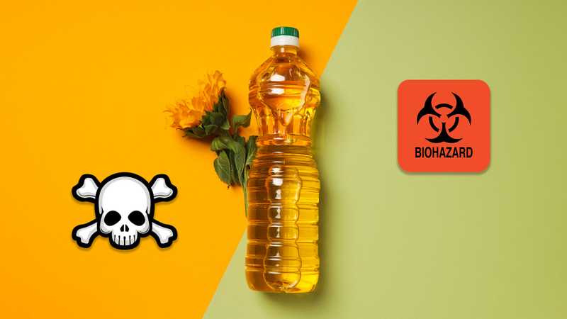 The Seed Oil Problem