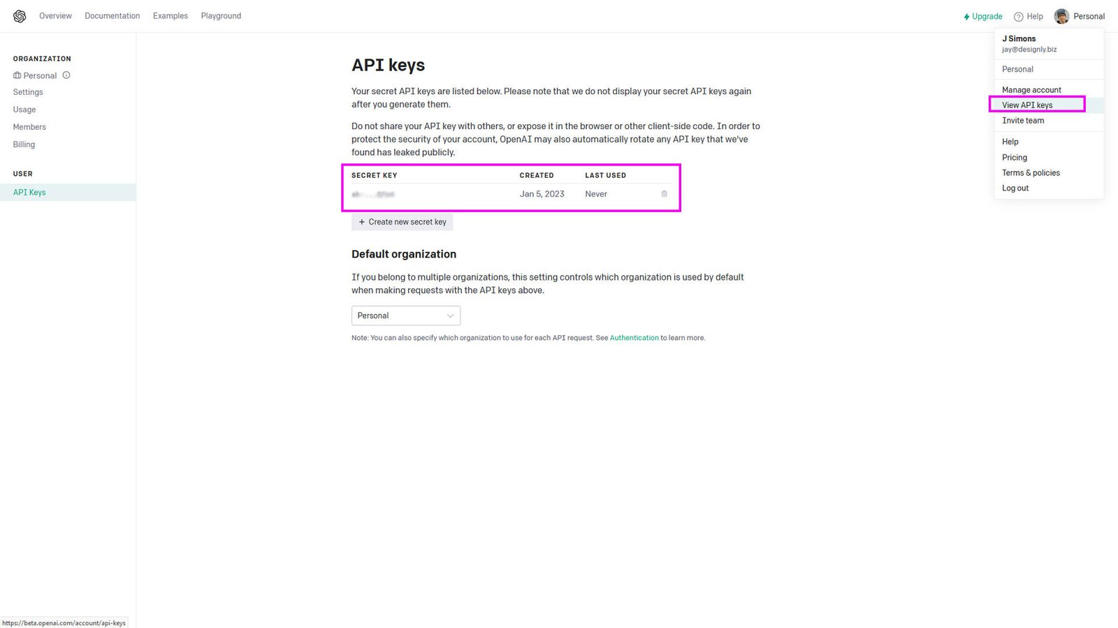 Get Your OpenAI Api Key